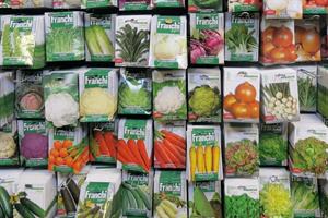 Seeds of Italy